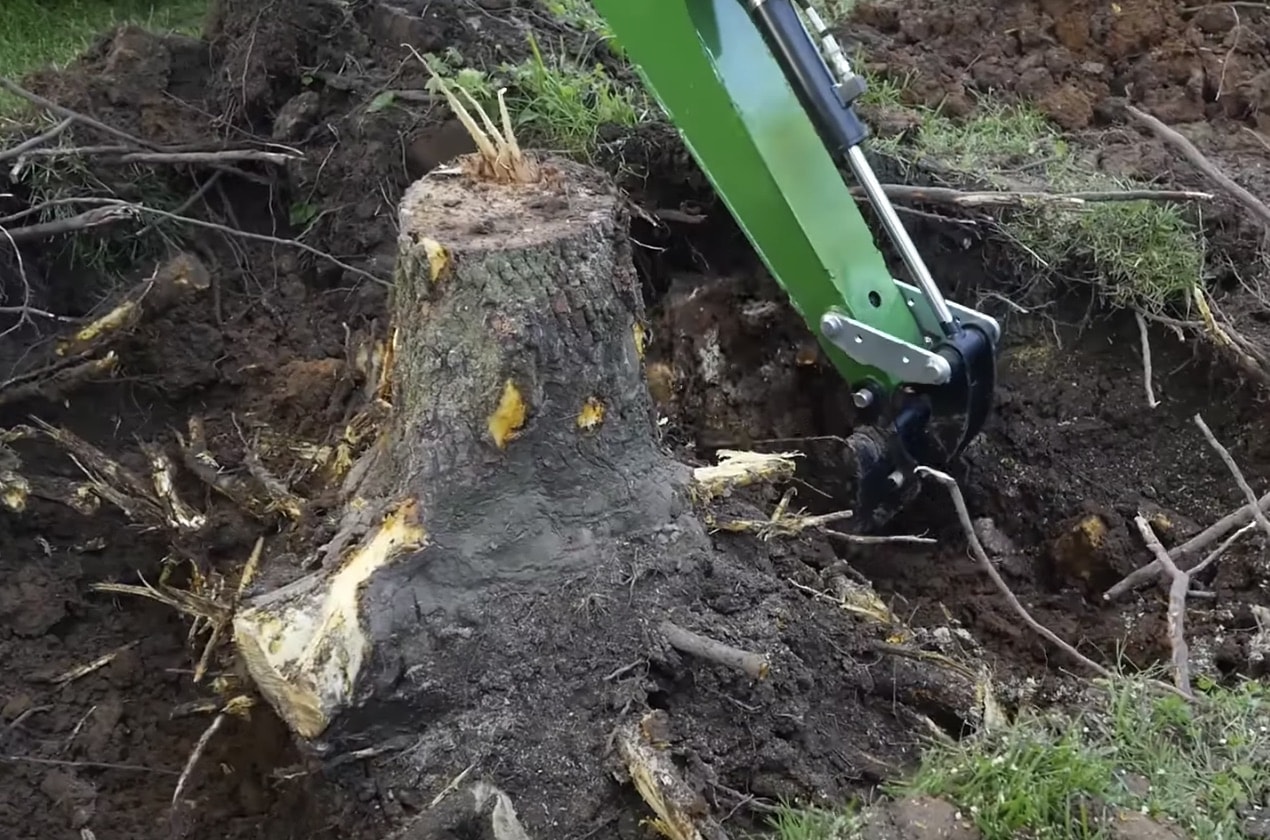 How to Remove a Tree Stump with a Backhoe